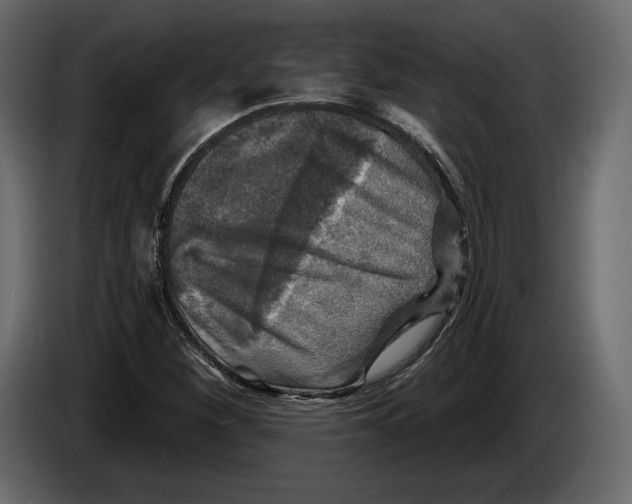 X0000084561260200703231751