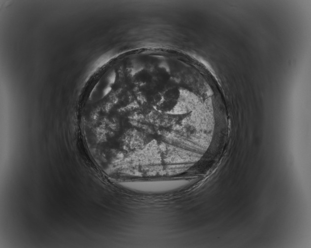 X0000084561263200703231751