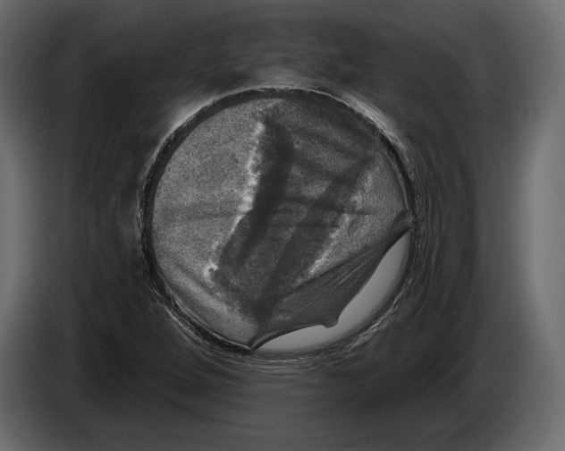 X0000084561264200703231751