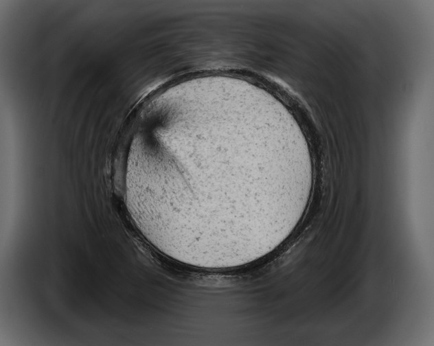 X0000084561265200703231751