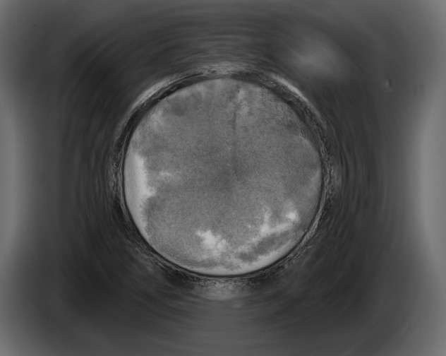 X0000084561266200703231751