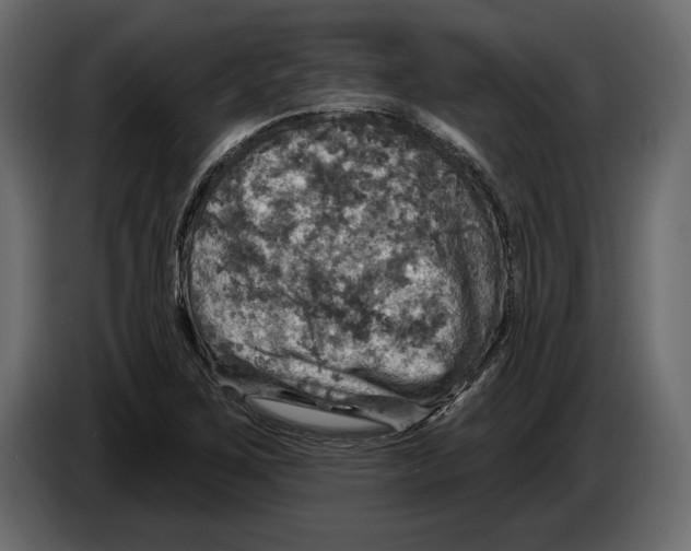 X0000084561267200703231751