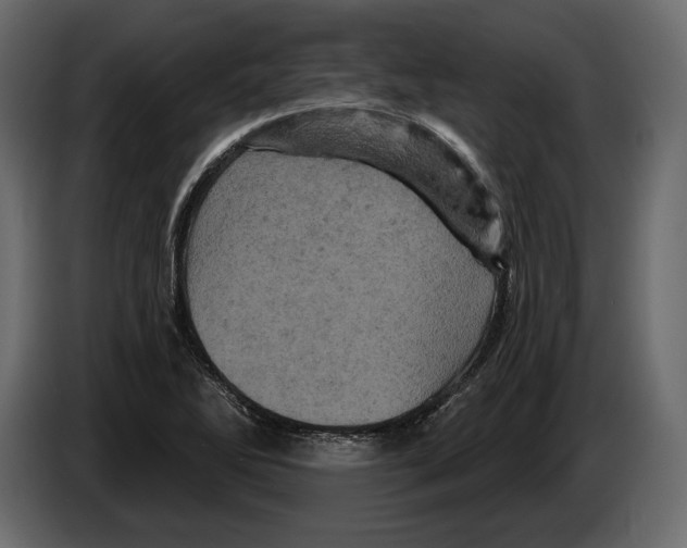 X0000084561270200703231751