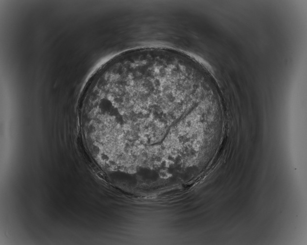 X0000084561271200703231751