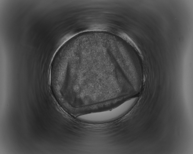 X0000084561276200703231750