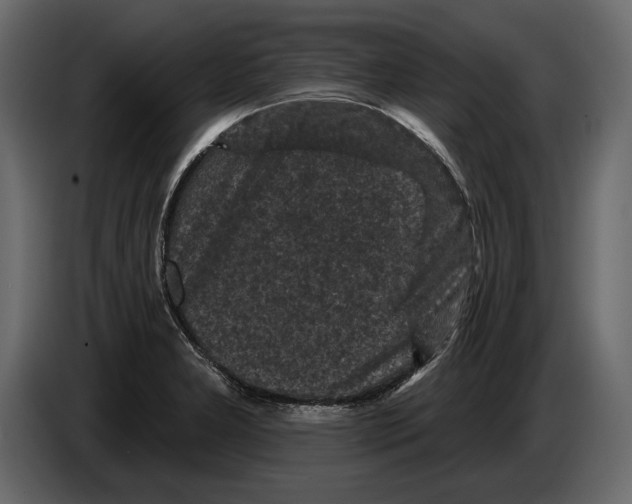 X0000084561277200703231750