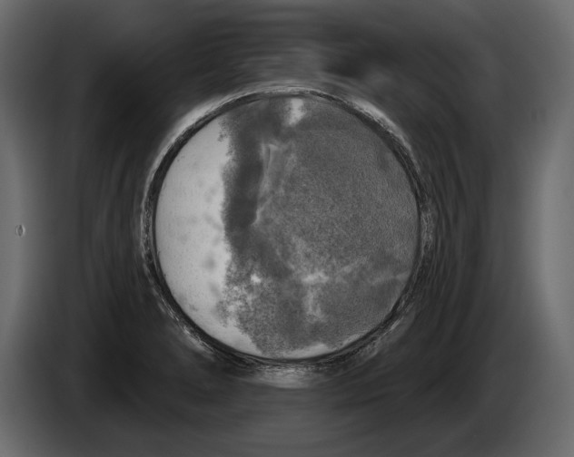 X0000084561278200703231750