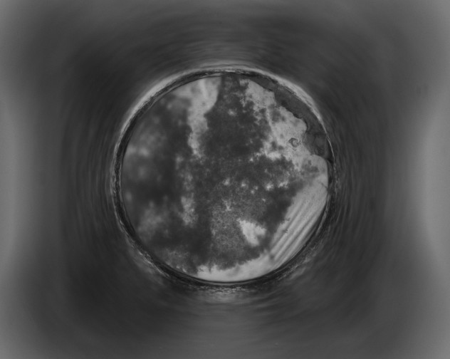 X0000084561279200703231750