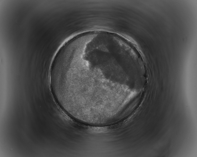 X0000084561280200703231750