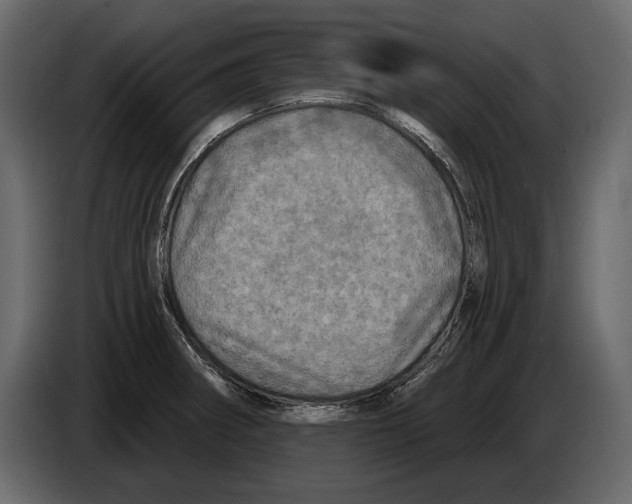 X0000084561282200703231750