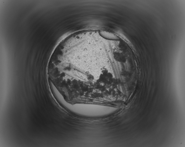 X0000084561283200703231750