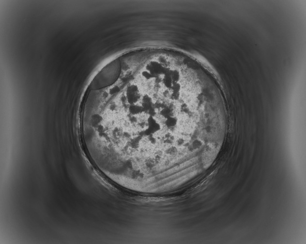 X0000084561287200703231750