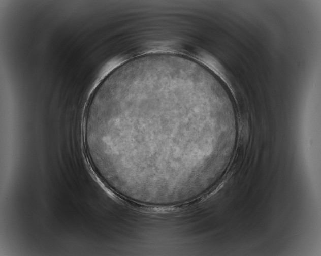 X0000084561290200703231750