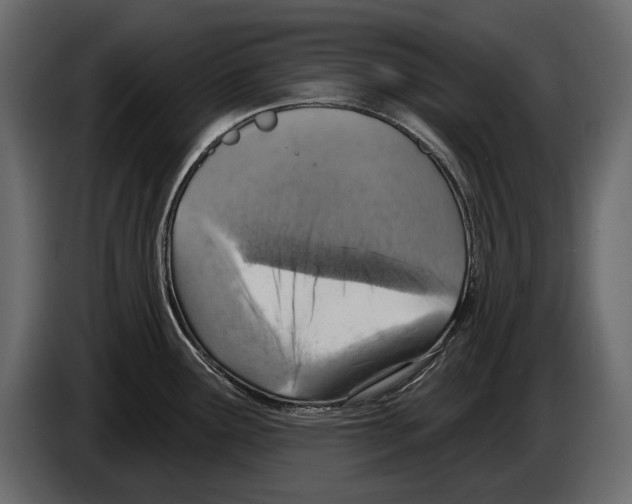 X0000084561291200703231750