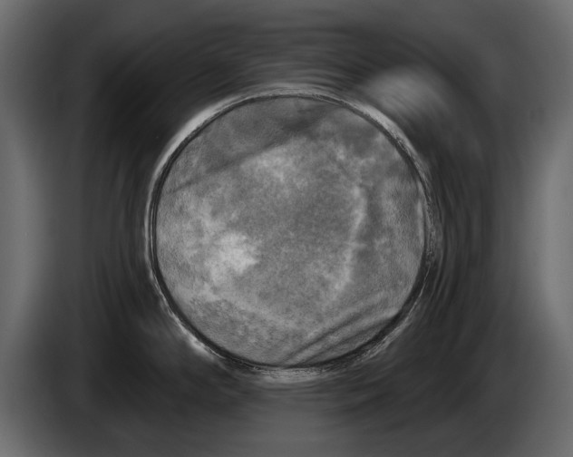 X0000084561294200703231750