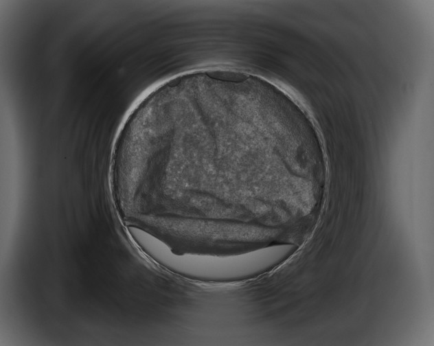 X0000084561296200703231750