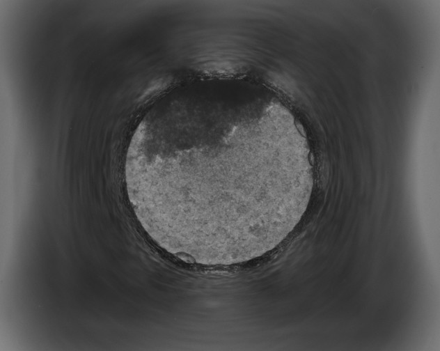 X0000084561297200703231750