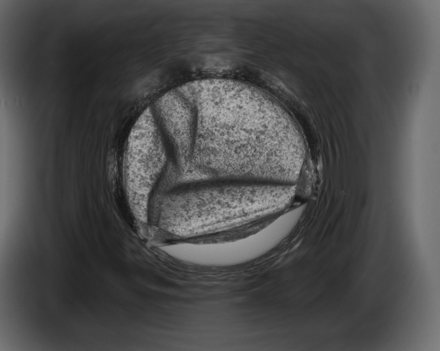 X0000084561299200703231750