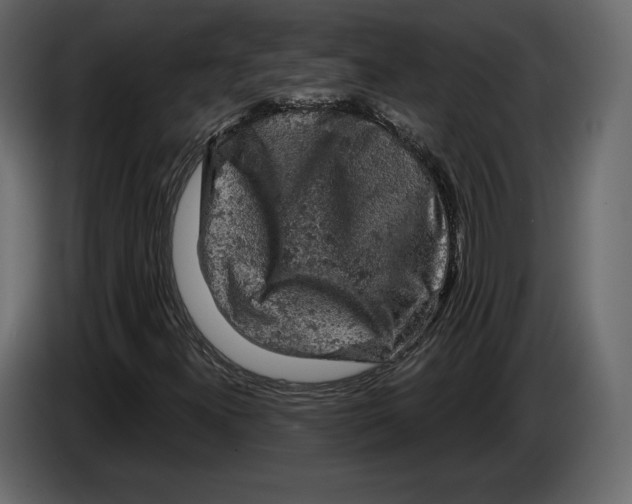 X0000084561300200703231750