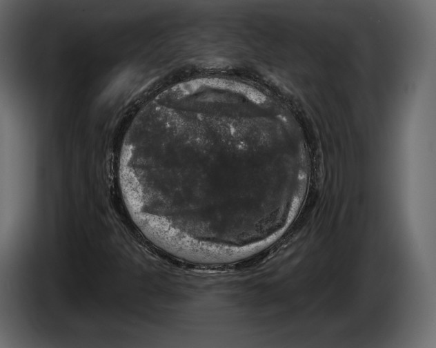 X0000084561301200703231750