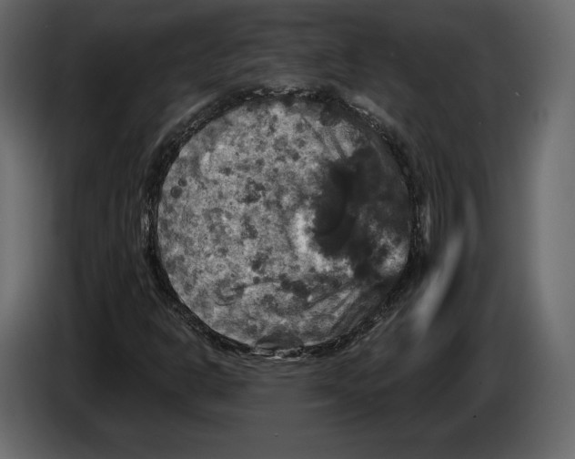 X0000084561302200703231750