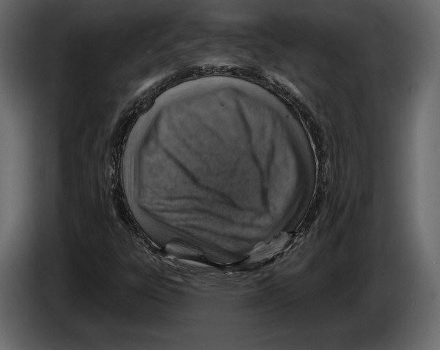 X0000084561303200703231750