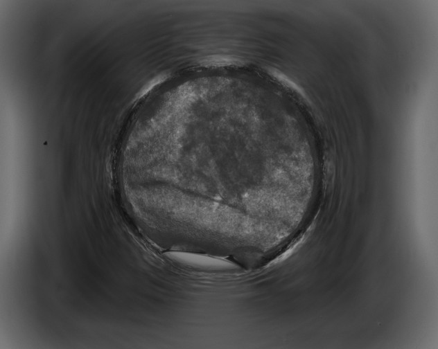 X0000084561305200703231750