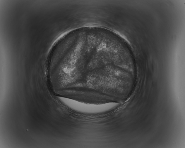 X0000084561311200703231750