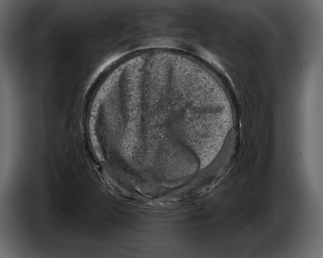 X0000084561312200703231750