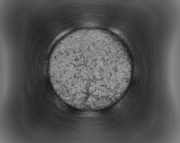 X0000084561314200703231750