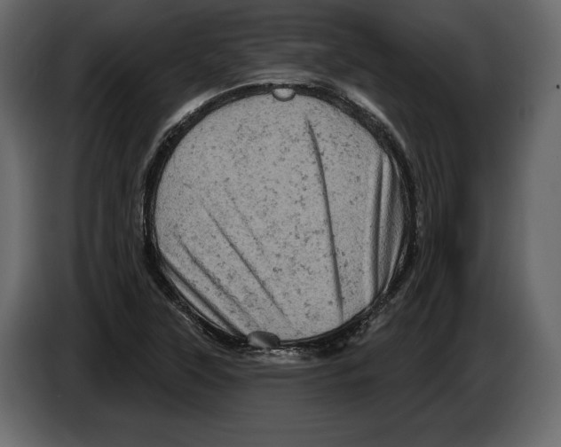 X0000084561315200703231750