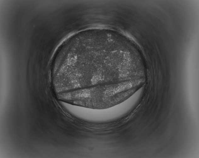 X0000084561318200703231750