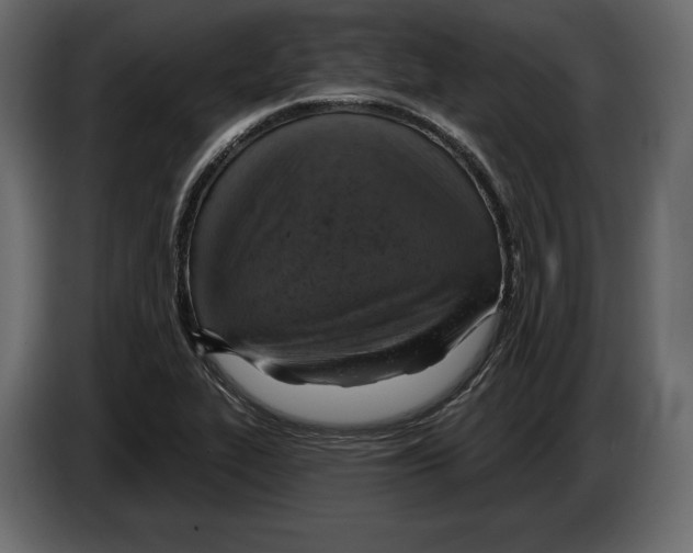 X0000084561319200703231750