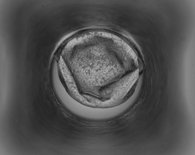 X0000084561320200703231750