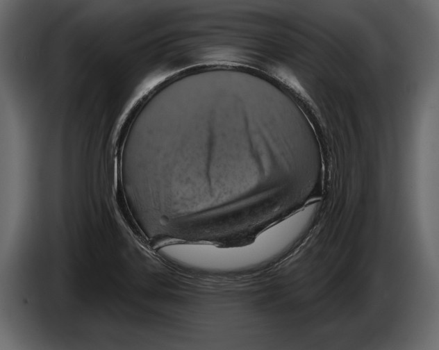 X0000084561323200703231750