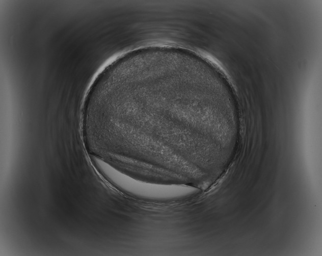 X0000084561326200703231750