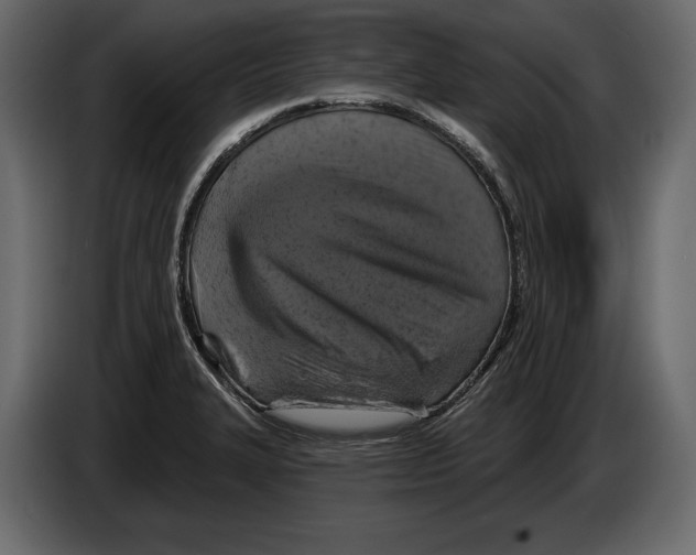 X0000084561327200703231750