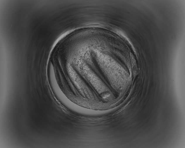 X0000084561328200703231750