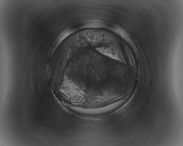 X0000084561329200703231750