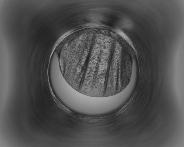 X0000084561330200703231750