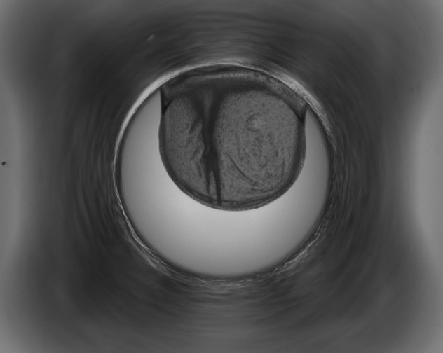 X0000084561332200703231750