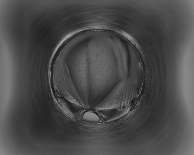 X0000084561334200703231750