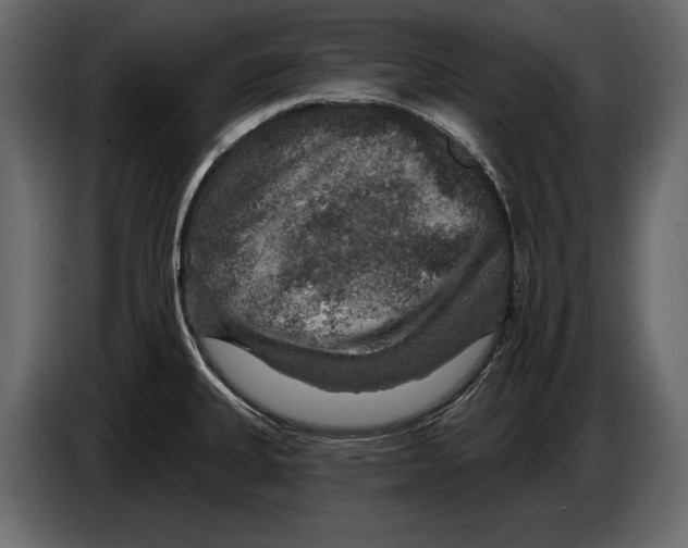 X0000084561335200703231750