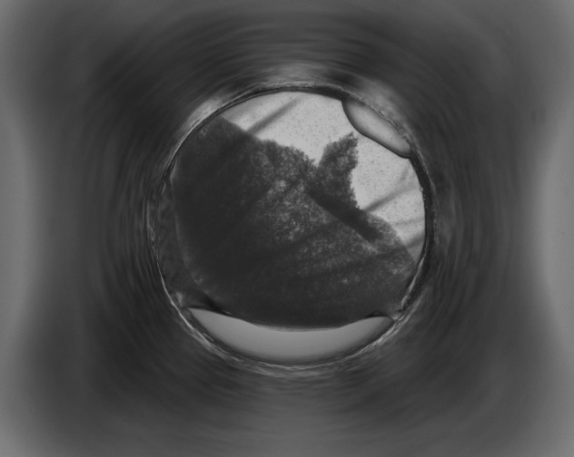 X0000084561337200703231750