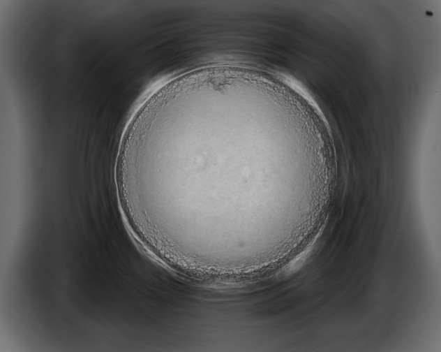 X0000084561338200703231750