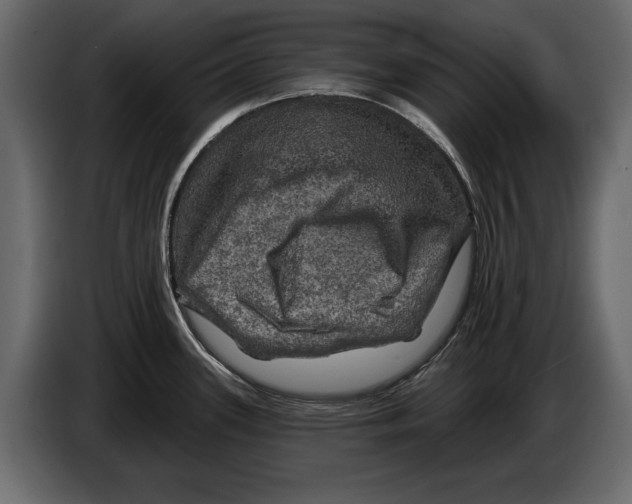 X0000084561339200703231750