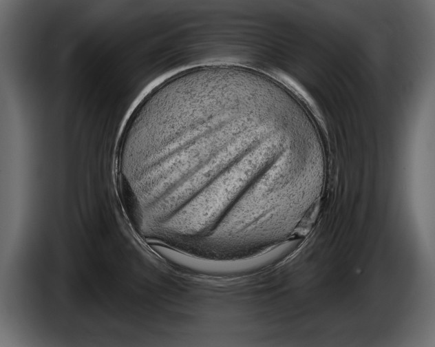 X0000084561340200703231750