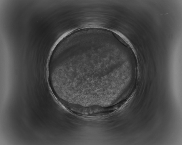 X0000084561341200703231750