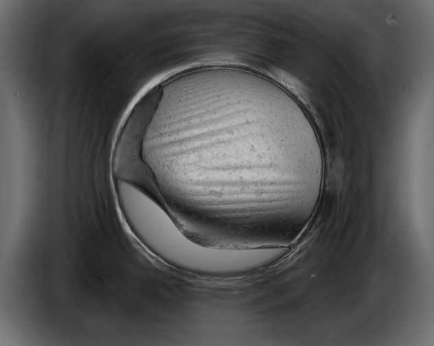 X0000084561342200703231750