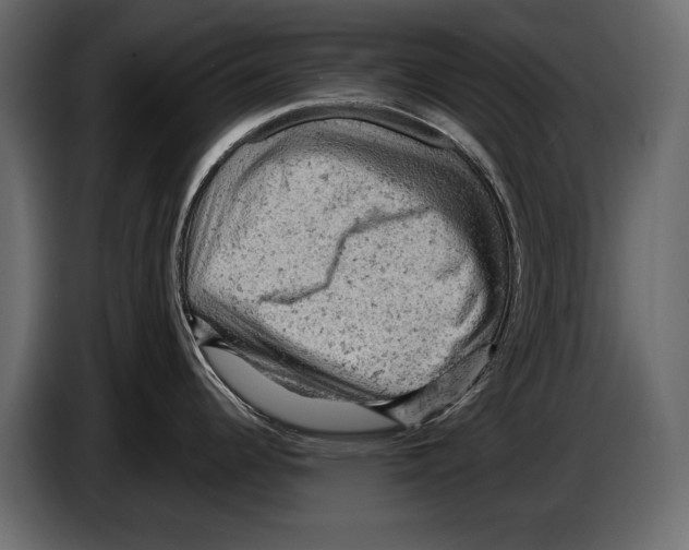 X0000084561344200703231750